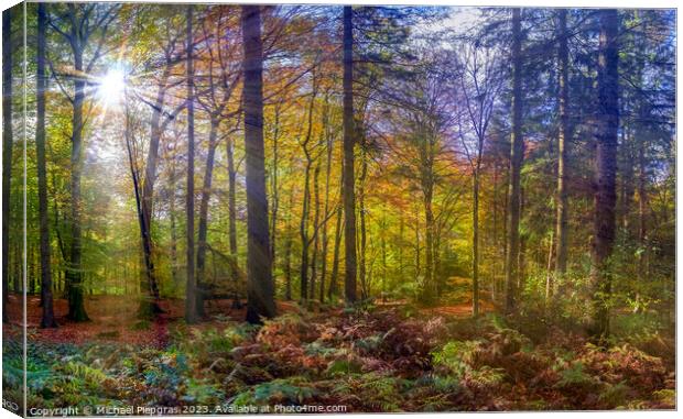 View into a vibrant and colorful autumn forest with fall foliage Canvas Print by Michael Piepgras