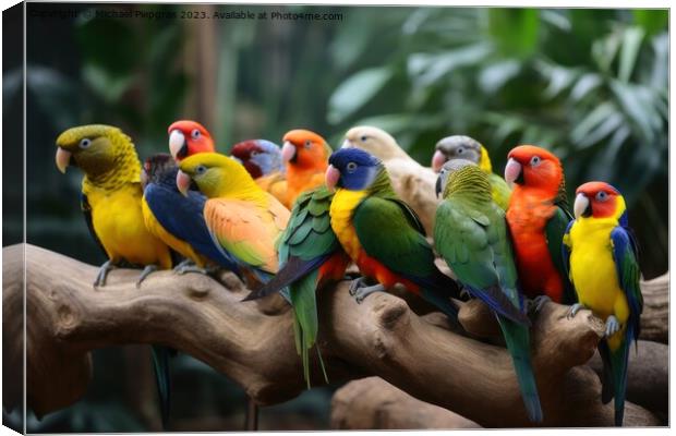 Many colourful different tropical birds sitting together on a br Canvas Print by Michael Piepgras