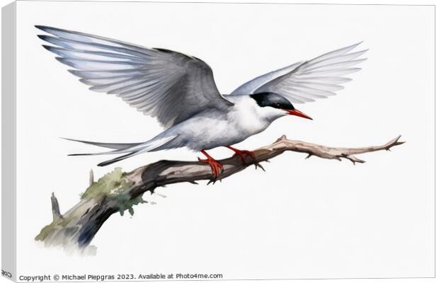 Watercolor painted common tern on a white background. Canvas Print by Michael Piepgras
