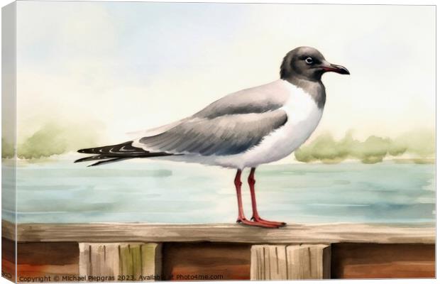 Watercolor painted laughing gull on a white background. Canvas Print by Michael Piepgras