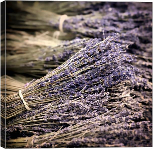 Dried Lavender Bundles Canvas Print by Christopher Lawrence Mrs Lawrence