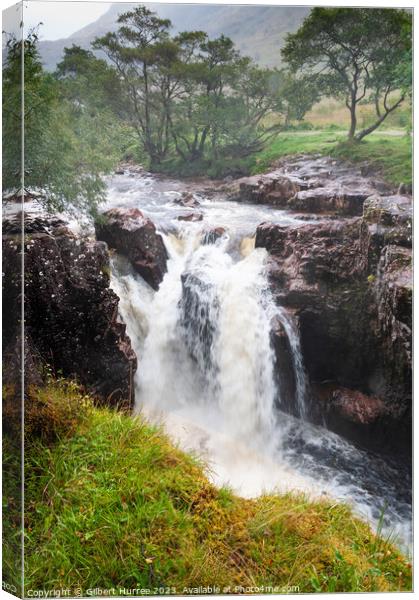 Nevis River Waterfall Canvas Print by Gilbert Hurree
