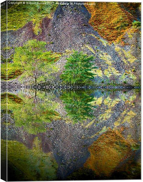  Trees reflected in the Scottish Loch Canvas Print by Gilbert Hurree