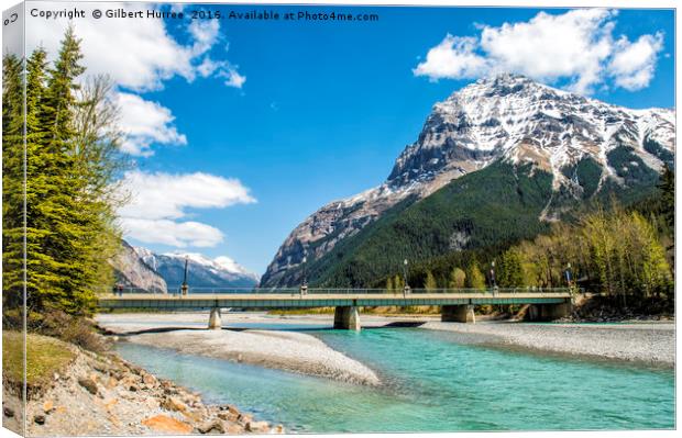 Embracing Nature: Kicking Horse River Canvas Print by Gilbert Hurree