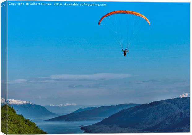 Soaring Over Alaskan Wonders Canvas Print by Gilbert Hurree