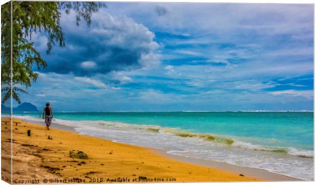 Breath-taking Le Morne Brabant, Mauritius Canvas Print by Gilbert Hurree