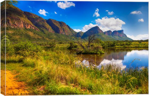 Wildlife Haven: Entabeni Game Reserve Canvas Print by Gilbert Hurree