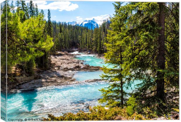 Yoho's Azure Kicking Horse River Canvas Print by Gilbert Hurree