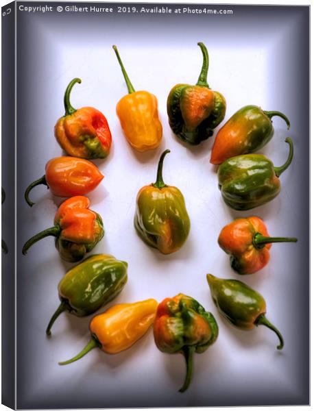 World's Hottest Chillies Canvas Print by Gilbert Hurree