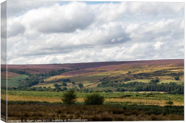 Majestic Moorlands Canvas Print by Adam Clare