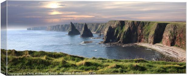 The Duncansby Stacks Canvas Print by Chris Mobberley