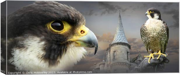 Peregrine Falcon and Castle Canvas Print by Chris Mobberley