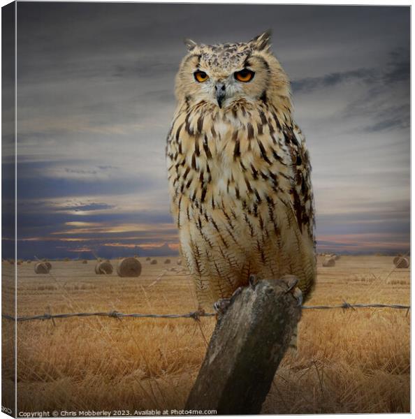 Bengal Eagle Owl Canvas Print by Chris Mobberley