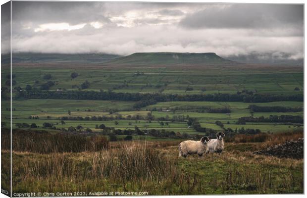 View over Wensleydale to Addlebrough Canvas Print by Chris Gurton