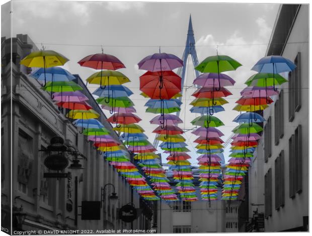 Pride Umbrellas Cardiff Canvas Print by DAVID KNIGHT