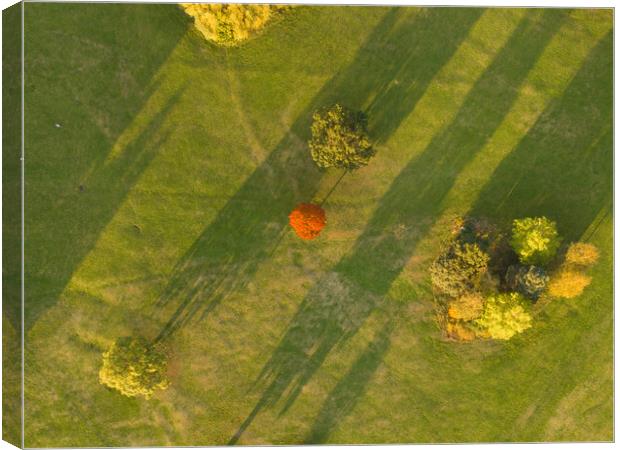 A Speck of Orange Canvas Print by Apollo Aerial Photography
