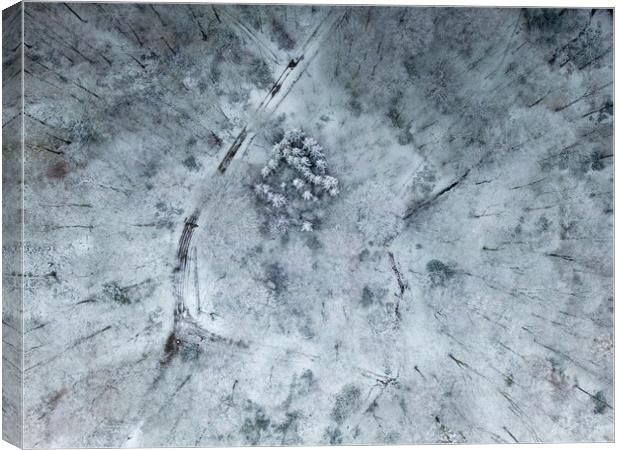 Winter Woodland Canvas Print by Apollo Aerial Photography