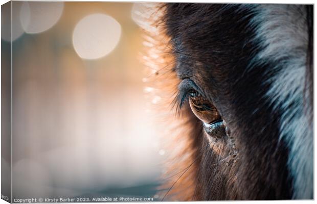 Close up of a horses eye Canvas Print by Kirsty Barber