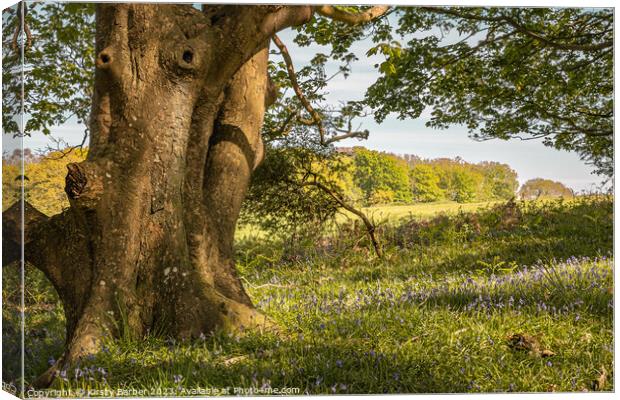 Tree Trunk in a Bluebell Field Canvas Print by Kirsty Barber