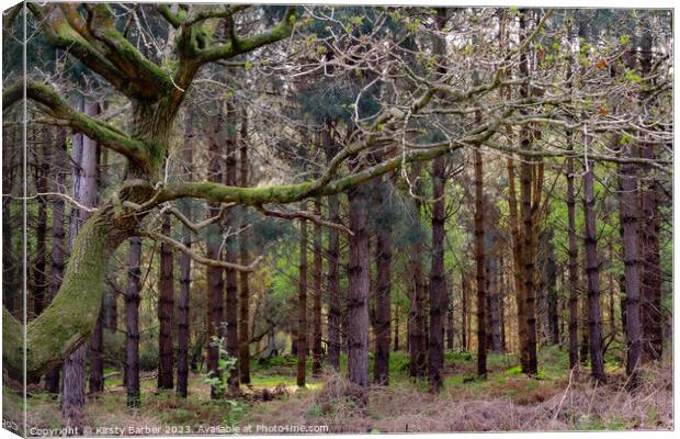 Tress in Dunwich Forest  Canvas Print by Kirsty Barber