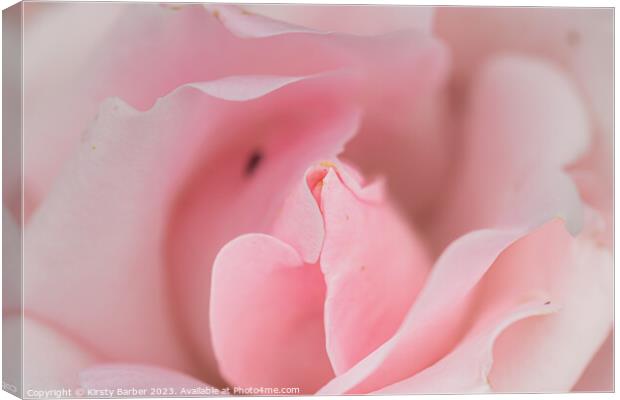 Macro Rose Canvas Print by Kirsty Barber