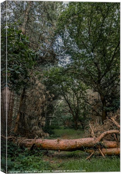 Pathway through Dunwich Forest Canvas Print by Kirsty Barber