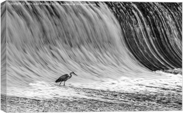 Heron On Weir Canvas Print by John-paul Phillippe