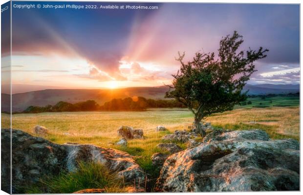 Lone Tree In Yorkshire Dales Canvas Print by John-paul Phillippe