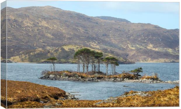 Island in the Highlands Canvas Print by Horace Goodenough