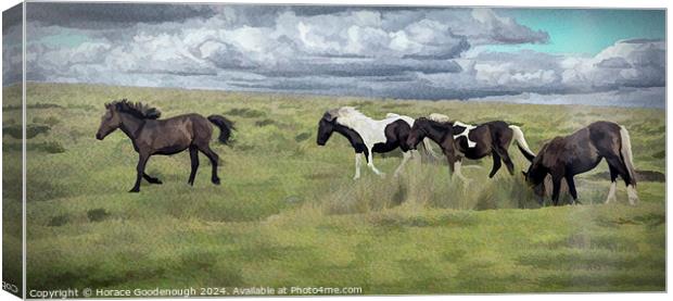 Wild horses on Dartmoor  Canvas Print by Horace Goodenough