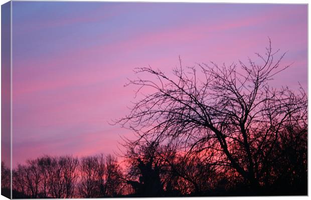Sky Blue Pink Canvas Print by sam mitchell