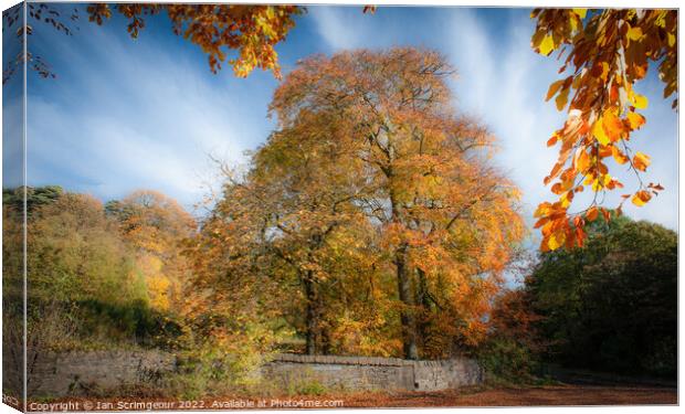 Autumn Canvas Print by Ian Scrimgeour