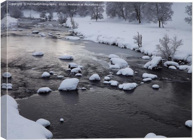 Frozen river Canvas Print by Fernleafphotography 