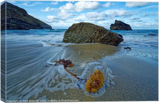Seaweed at Portheras Cove Canvas Print by Mark Bowman