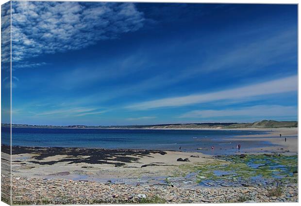 Scottish beach on a sunny day Canvas Print by Mark Houghton