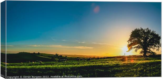 Sunset Over Ellerhayes Canvas Print by Adrian Burgess