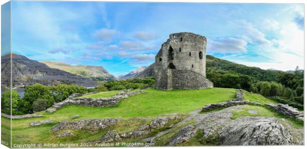 Castle Dolbadarn, Llanberis Canvas Print by Adrian Burgess