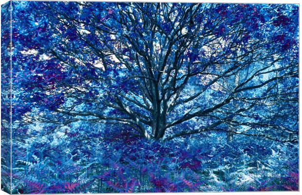 Grand Tree - Blue Canvas Print by Adrian Burgess
