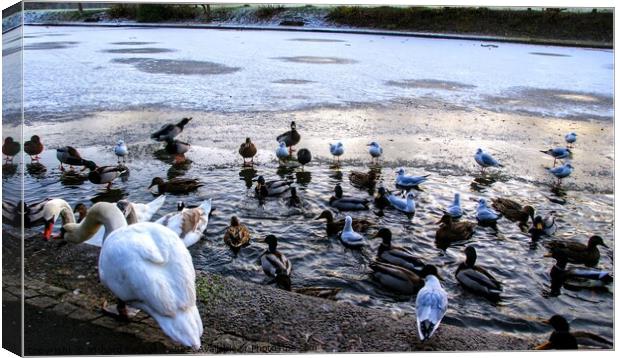 Birds On A Frozen Lake Canvas Print by Richard Fairbairn