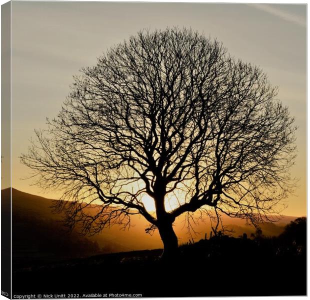 Sunrise Tree Silhouette Canvas Print by Nick Unitt