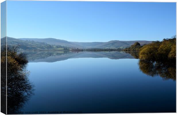 Reflective Semer Water Canvas Print by Nick Unitt