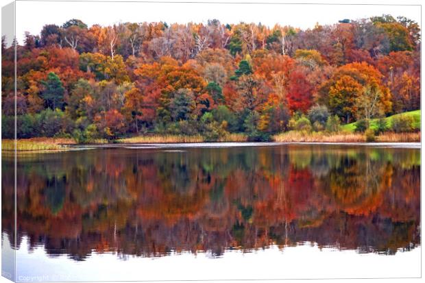 Autumn Reflections Canvas Print by Robin Clarke