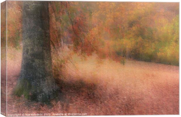 Autumn in the Adelaide Hills Canvas Print by Neil Edwards