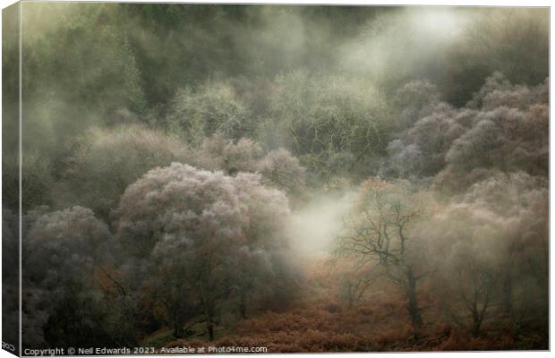 Autumn Fog Canvas Print by Neil Edwards