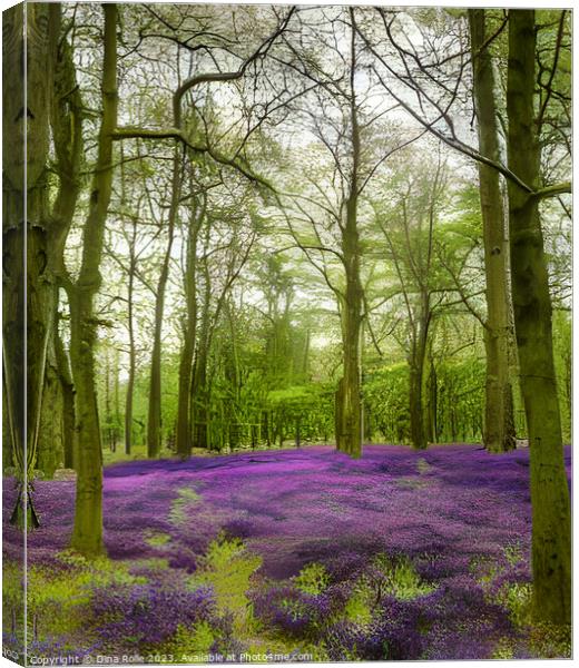 Dockey Wood Forest Ashridge Estate Graphic Canvas Print by Dina Rolle