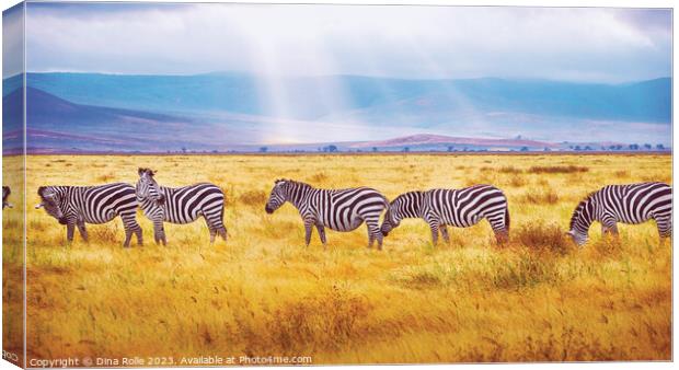 Zebras-African Wild Animals Canvas Print by Dina Rolle