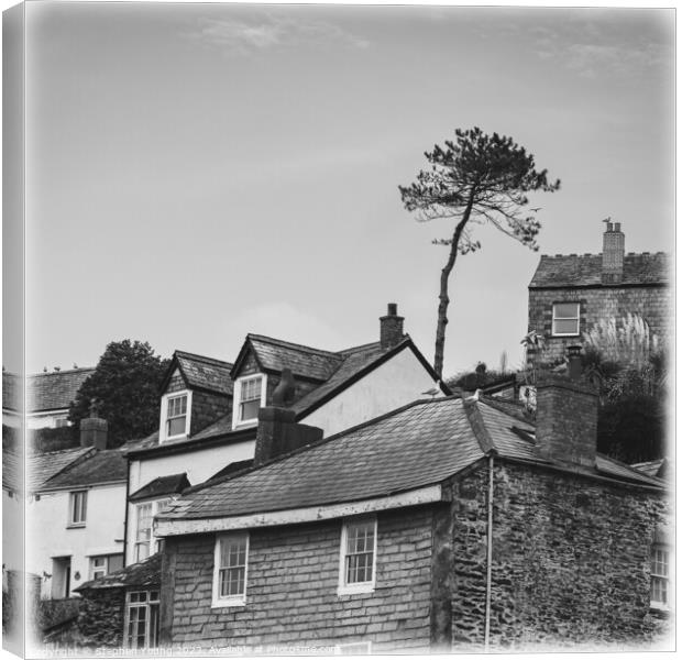 Coastal Village Charms: Houses on the Hillside of  Canvas Print by Stephen Young
