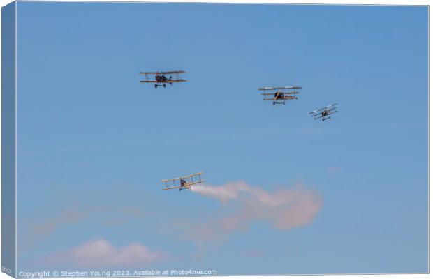 Vintage Biplanes and Triplanes Canvas Print by Stephen Young