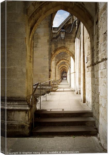 Winchester Cathedral Architecture Canvas Print by Stephen Young