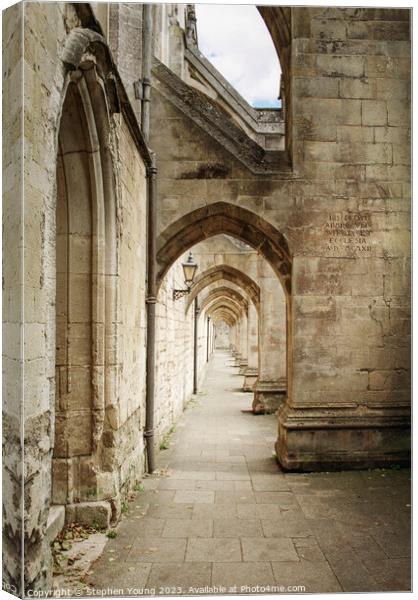 Winchester Cathedral Canvas Print by Stephen Young